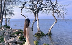 92看片淫黄大片一级